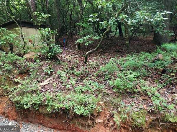 1 Acre of Residential Land for Sale in Lakemont, Georgia