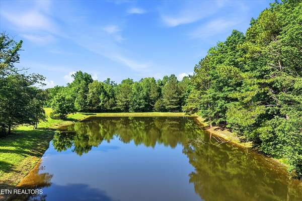 136 Acres of Recreational Land for Auction in Riceville, Tennessee