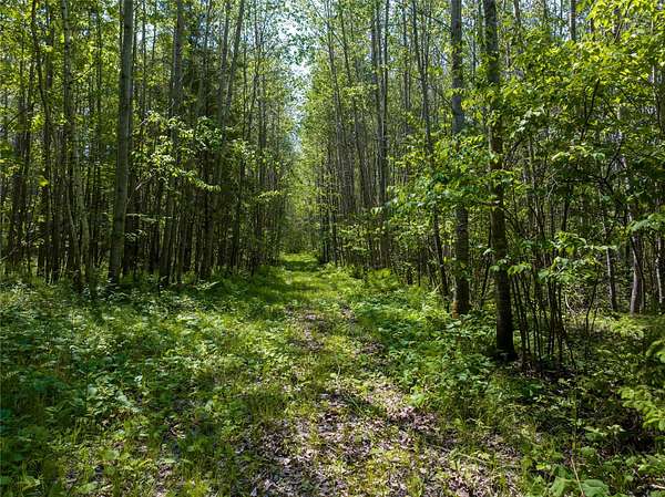 20 Acres of Recreational & Residential Land for Sale in Cable, Wisconsin