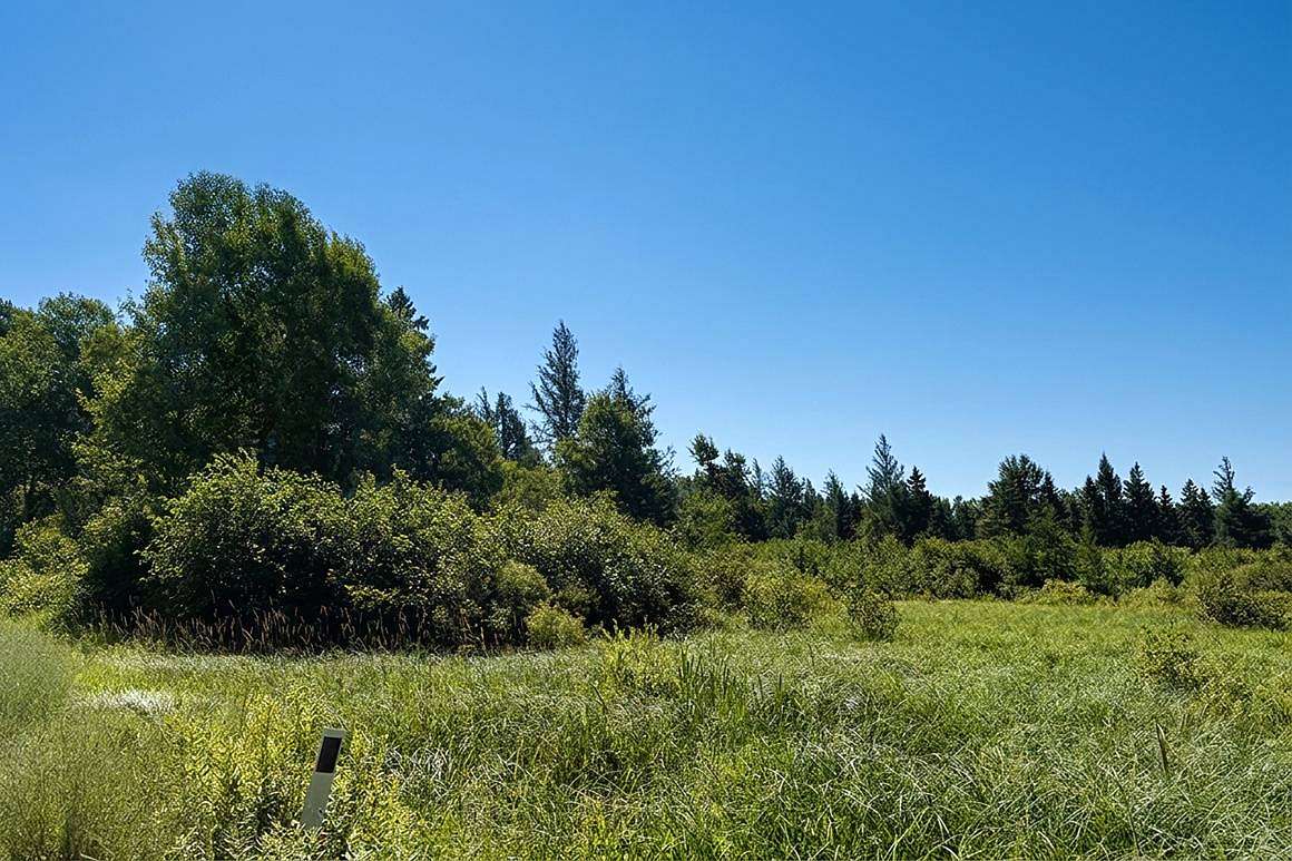 40 Acres of Recreational & Residential Land for Sale in Danbury, Wisconsin