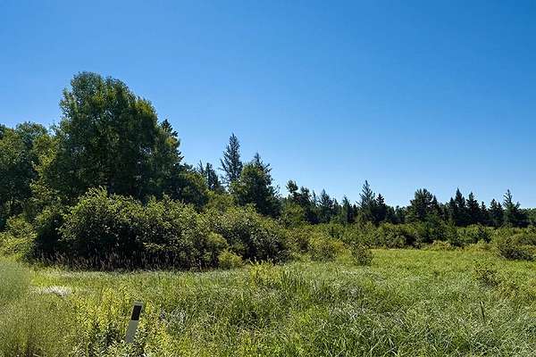 40 Acres of Recreational & Residential Land for Sale in Danbury, Wisconsin