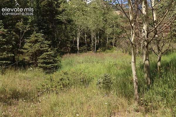 0.7 Acres of Residential Land for Sale in Manitou Springs, Colorado