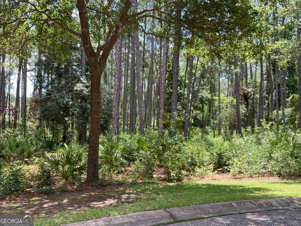 0.3 Acres of Residential Land for Sale in St. Marys, Georgia