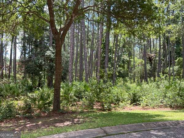 0.3 Acres of Residential Land for Sale in St. Marys, Georgia