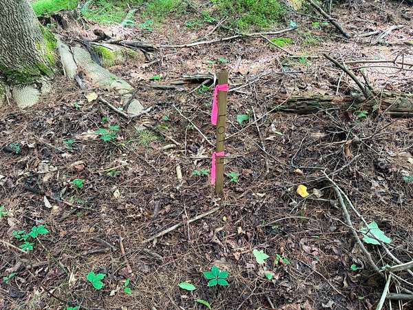 0.65 Acres of Residential Land for Sale in Fancy Gap, Virginia