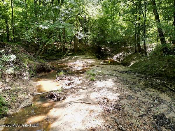 45.2 Acres of Land for Sale in Harrisonburg, Louisiana