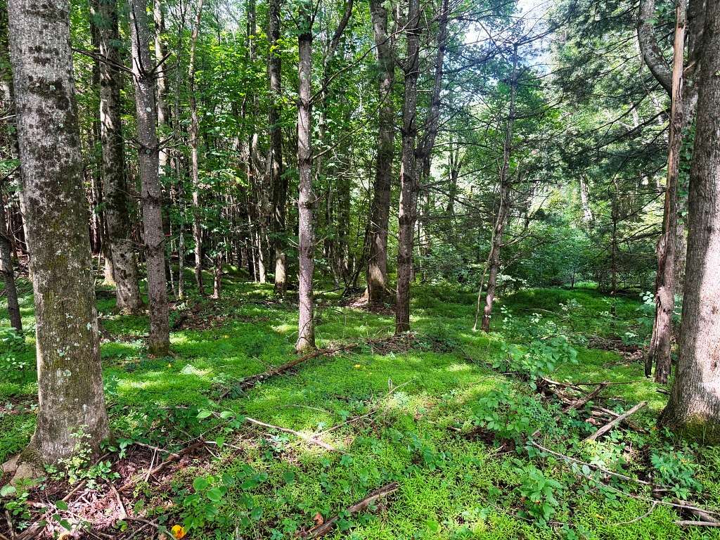 0.57 Acres of Residential Land for Sale in Fancy Gap, Virginia