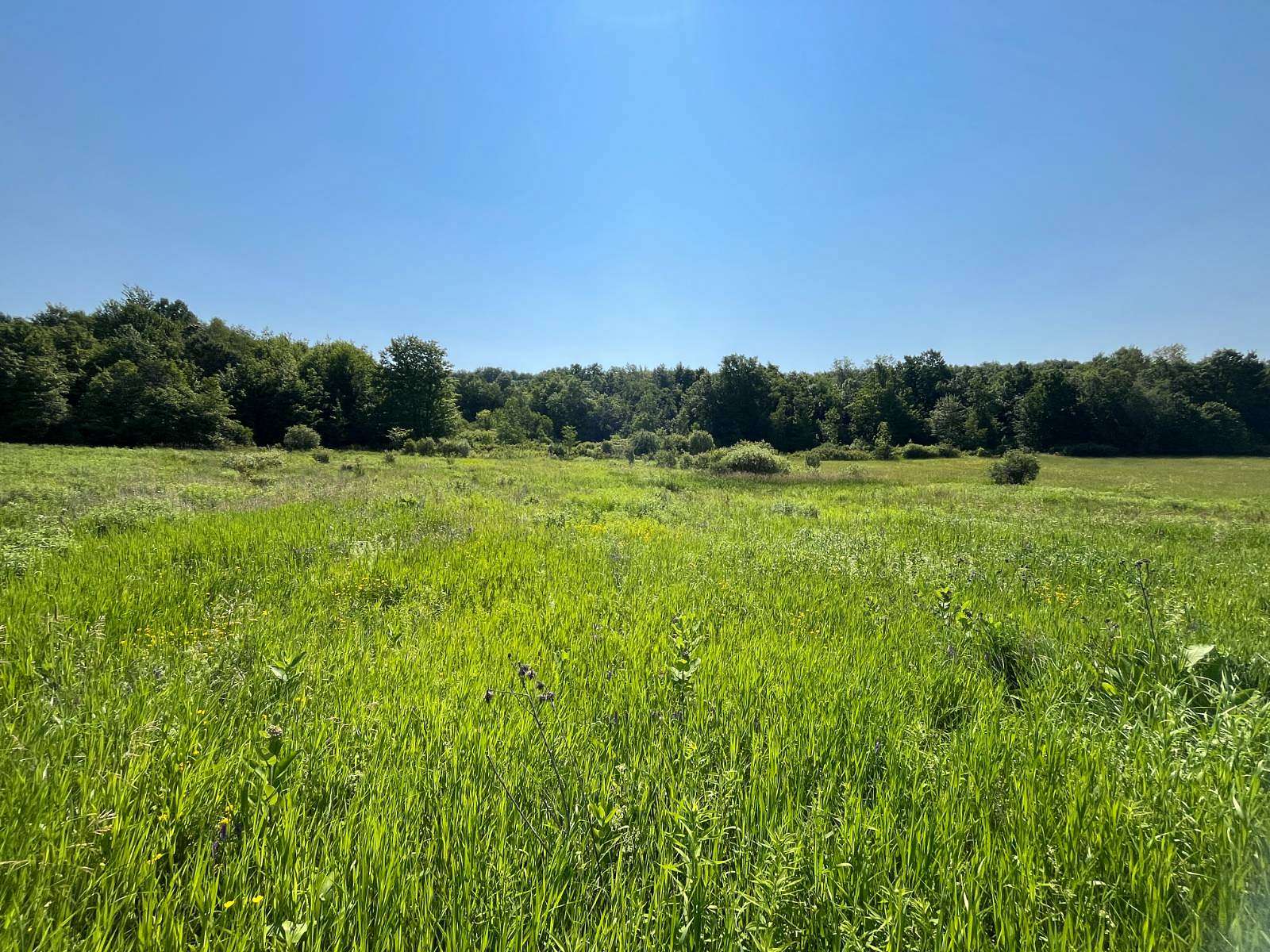 7.75 Acres of Residential Land for Sale in Antwerp, New York