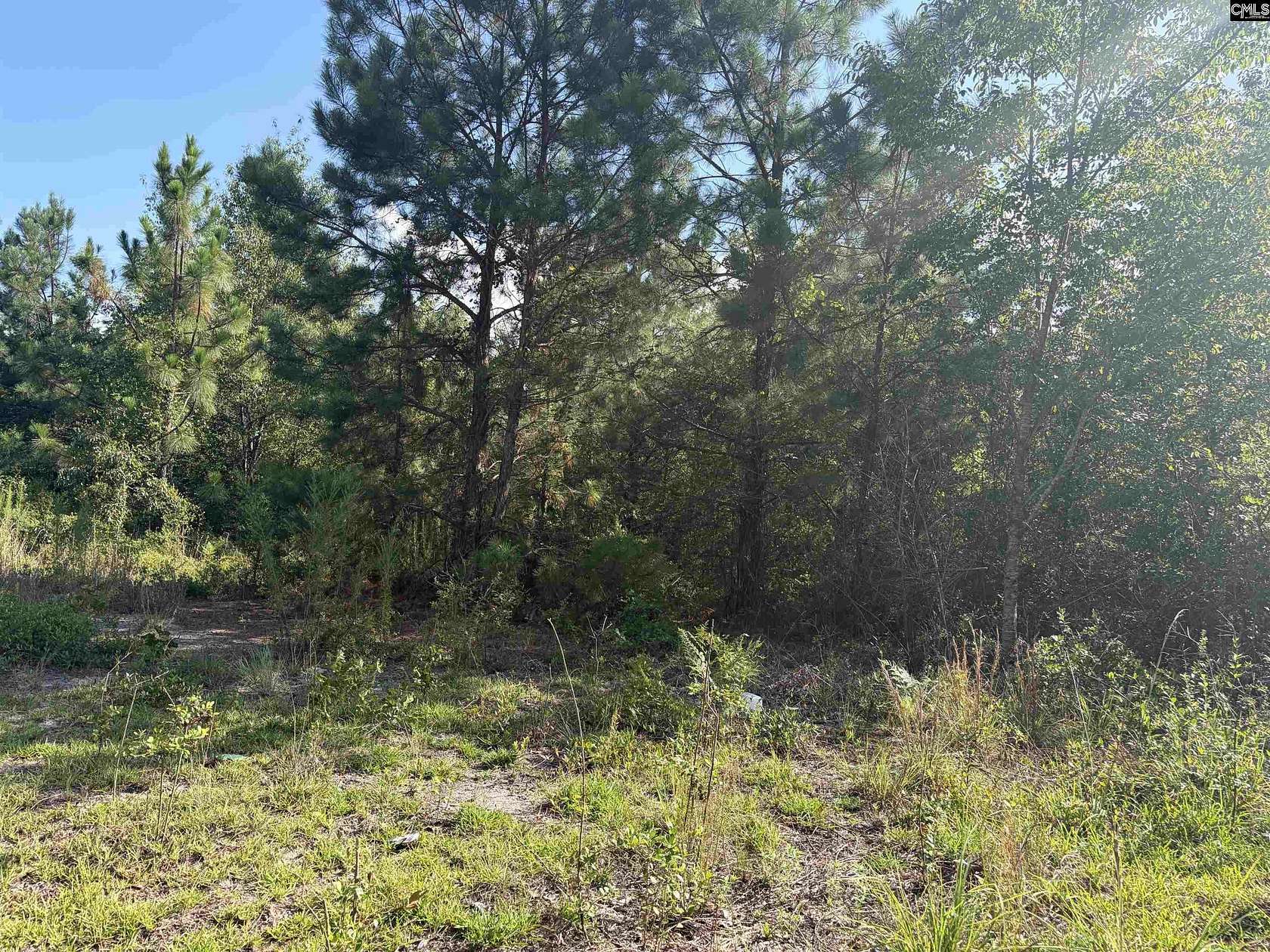 10 Acres of Recreational & Residential Land for Sale in Leesville, South Carolina