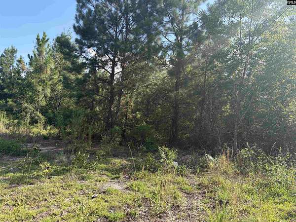 10 Acres of Recreational & Residential Land for Sale in Leesville, South Carolina