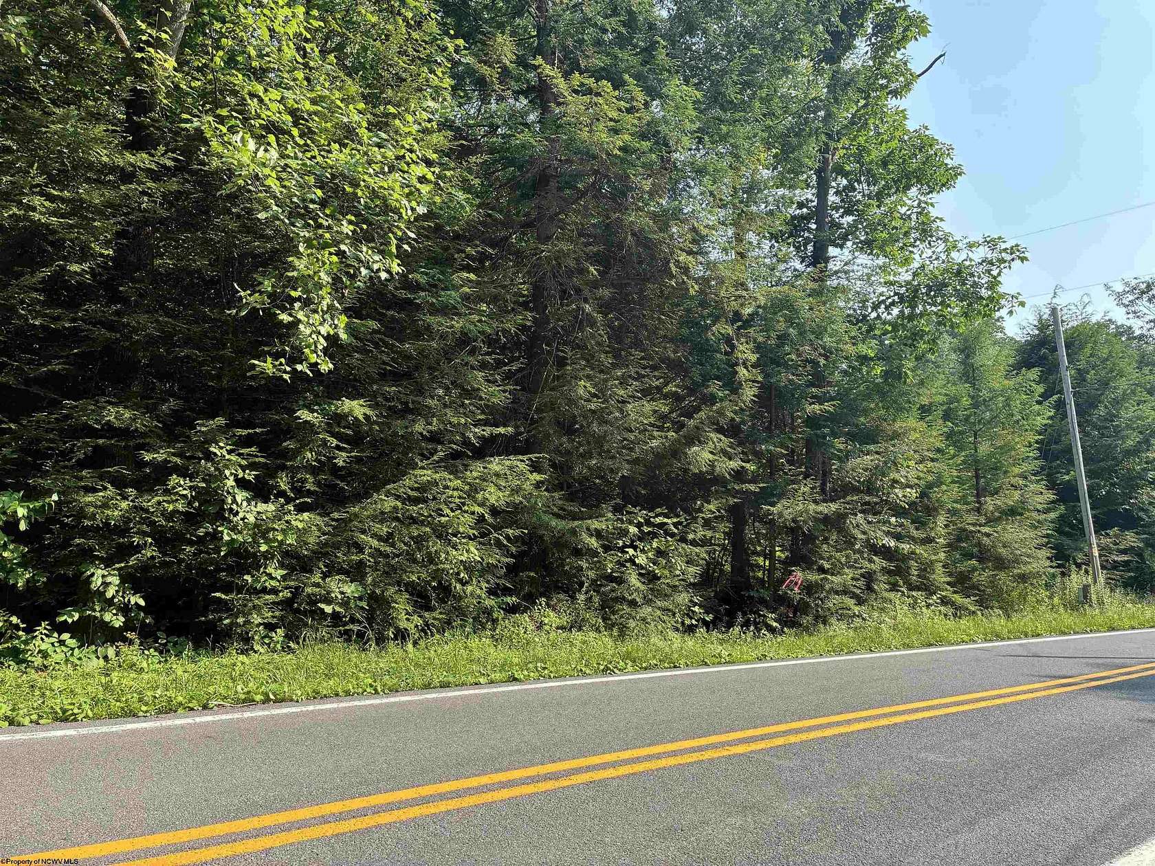 12.2 Acres of Land for Sale in Albright, West Virginia
