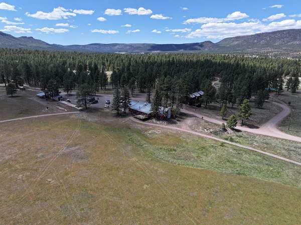 54.6 Acres of Land for Sale in Alpine, Arizona