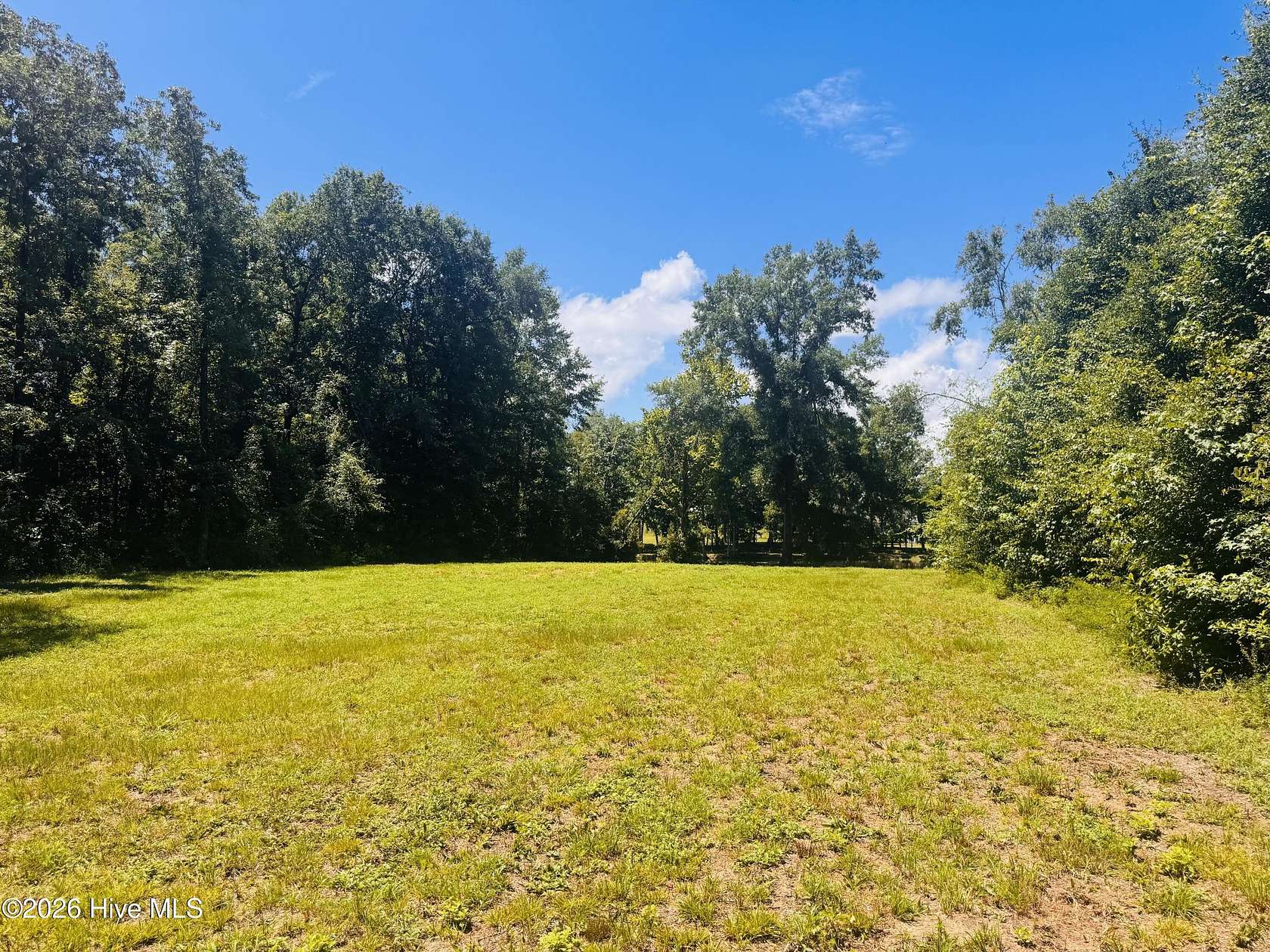 1 Acre of Residential Land for Sale in Bartow, Georgia