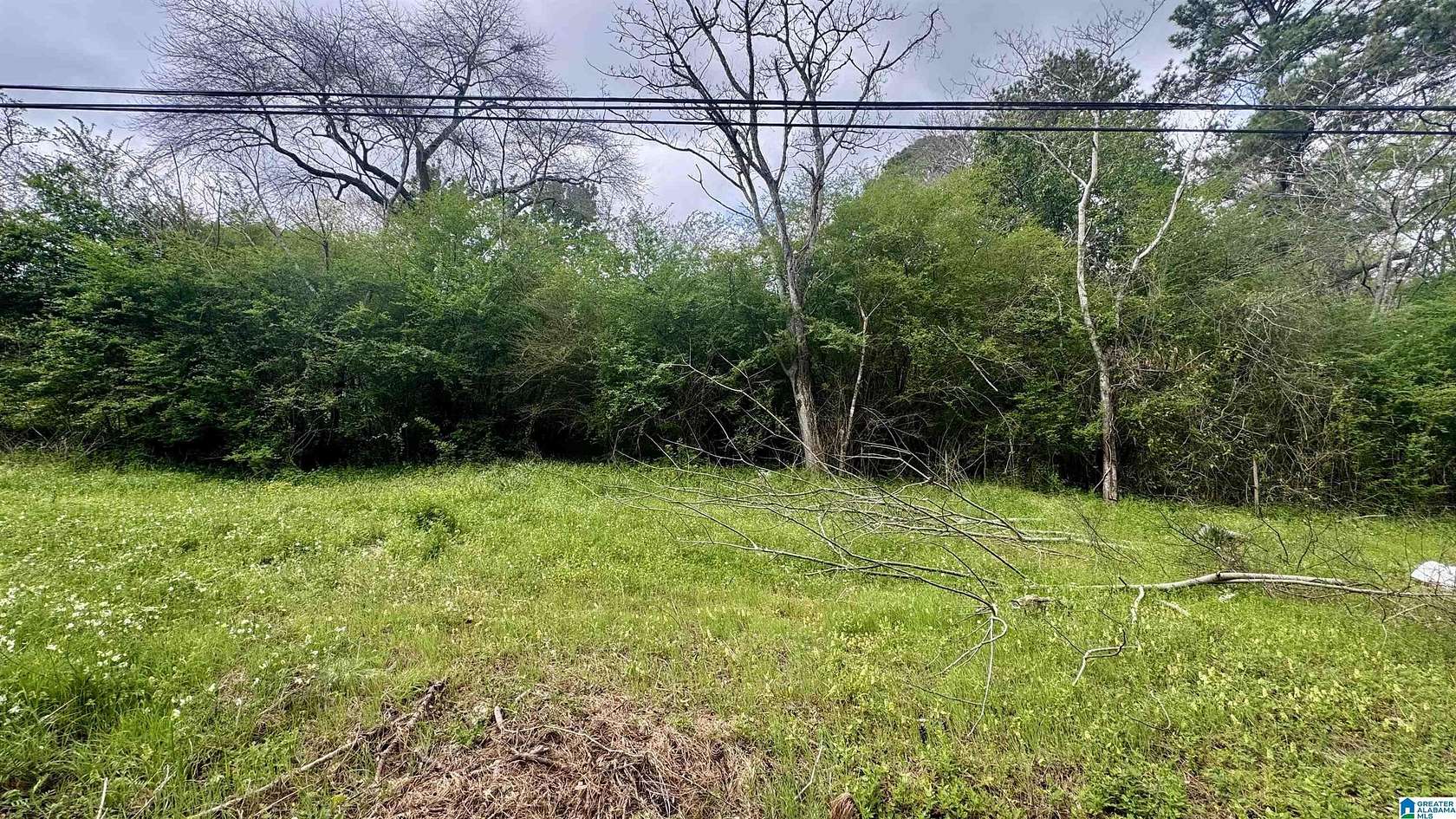 0.7 Acres of Residential Land for Sale in Bessemer, Alabama