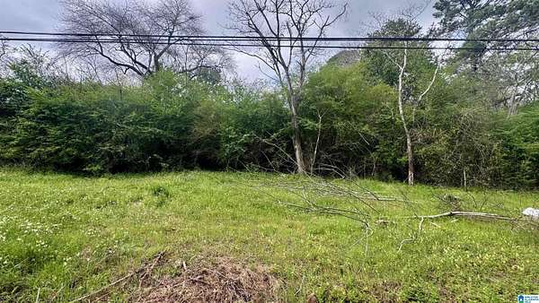 0.7 Acres of Residential Land for Sale in Bessemer, Alabama
