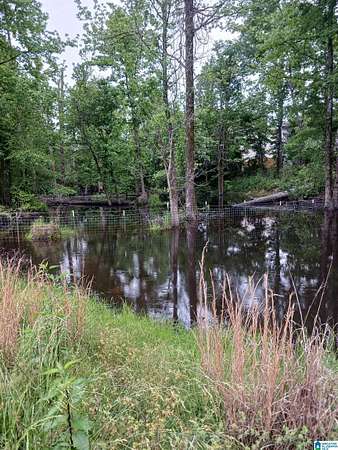 14 Acres of Land for Sale in Bessemer, Alabama