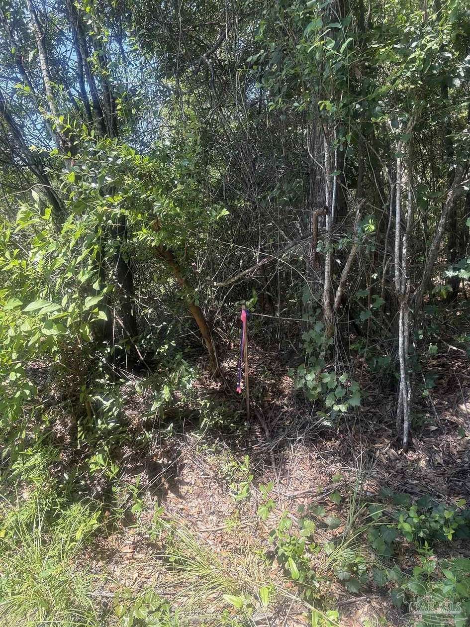 3 Acres of Residential Land for Sale in Holt, Florida