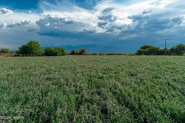 3 Acres of Residential Land for Sale in Safford, Arizona