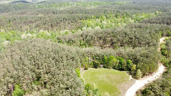 952 Acres of Land for Sale in Olivehill, Tennessee