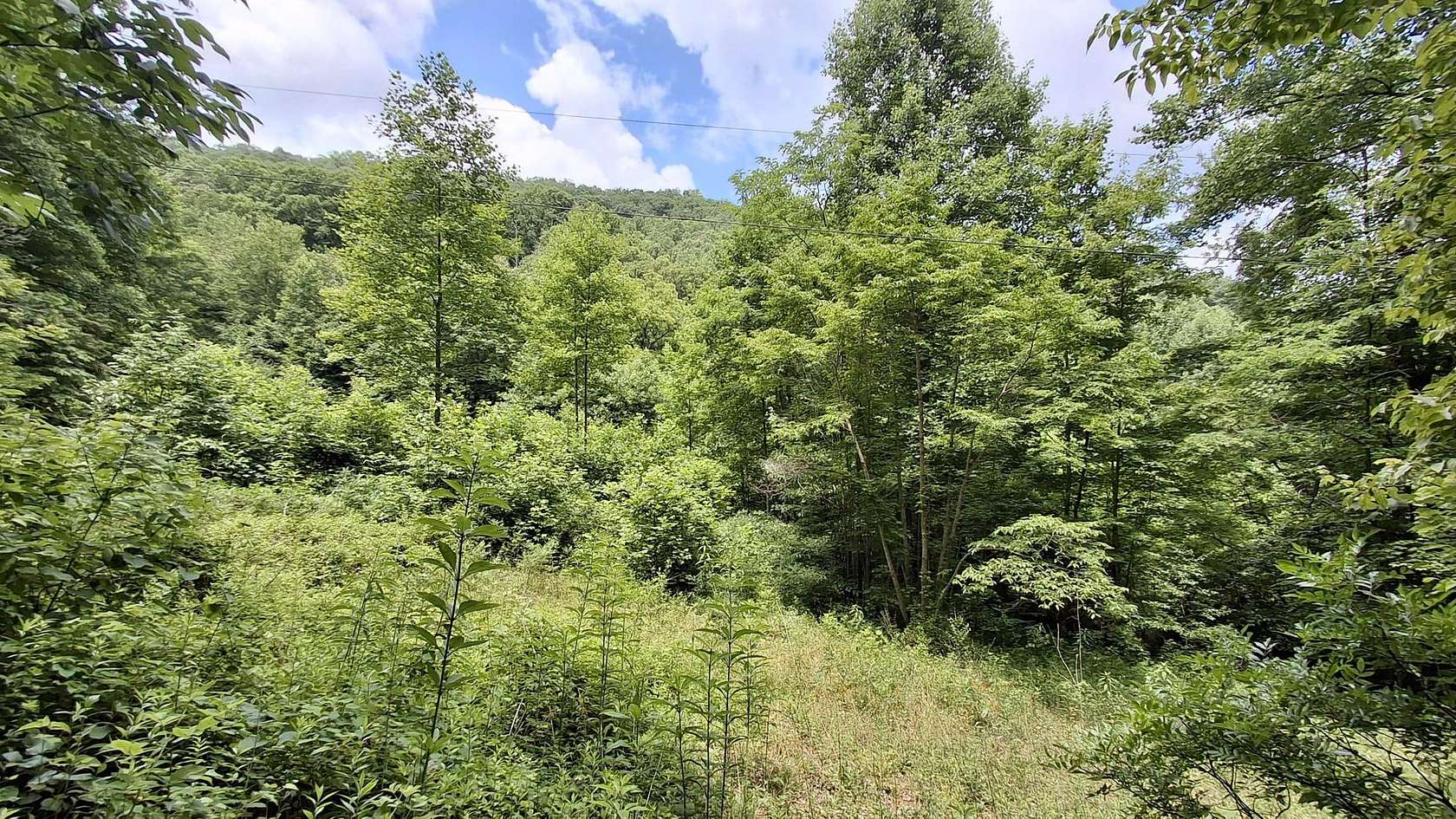 27.6 Acres of Recreational Land for Sale in Robbinsville, North Carolina