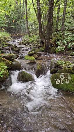 27.6 Acres of Recreational Land for Sale in Robbinsville, North Carolina