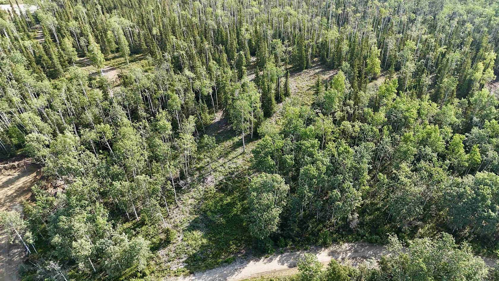 2 Acres of Residential Land for Sale in Delta Junction, Alaska
