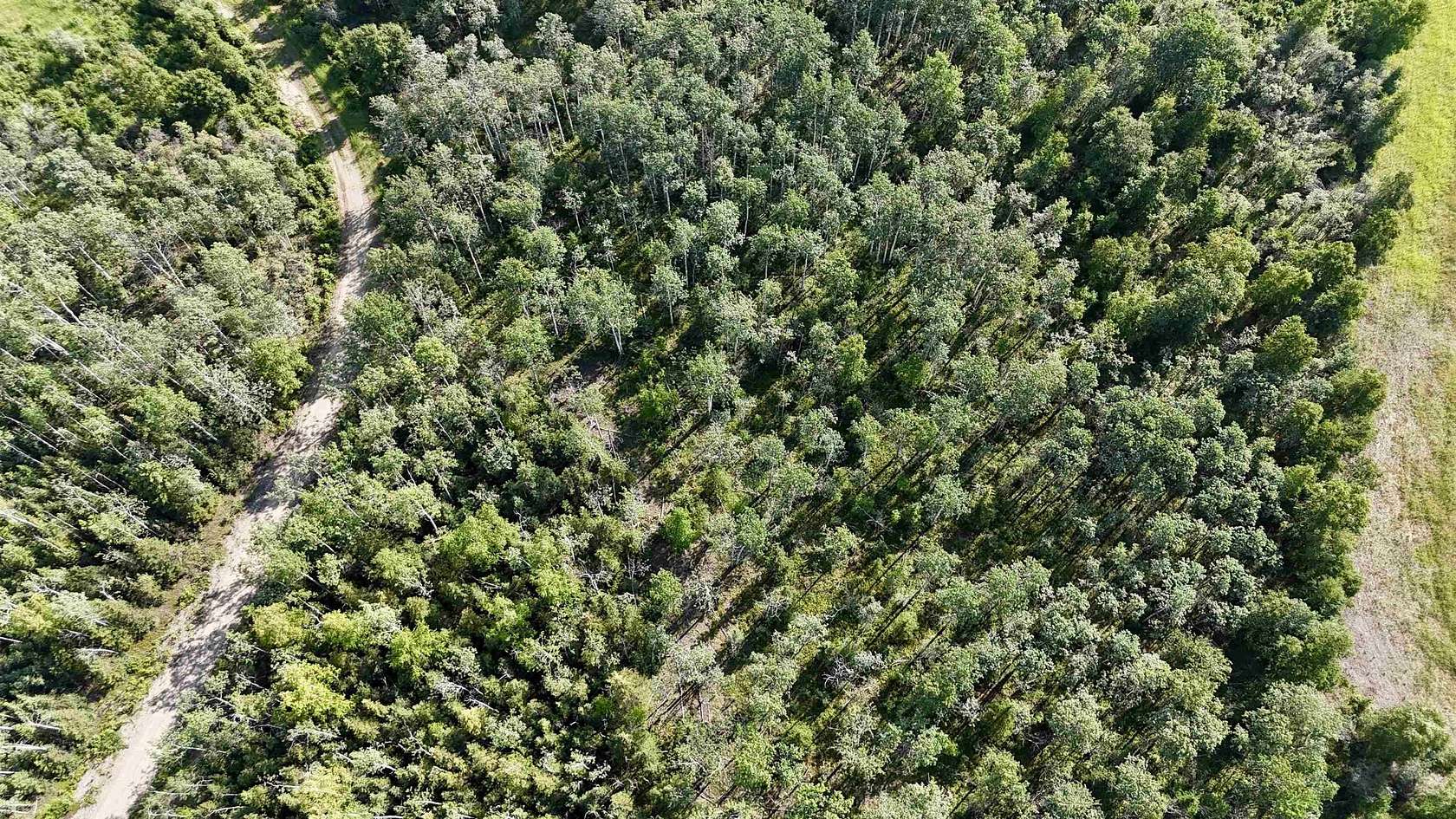 2.39 Acres of Residential Land for Sale in Delta Junction, Alaska