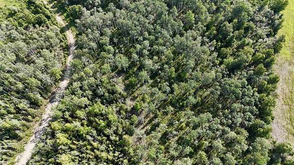 2.39 Acres of Residential Land for Sale in Delta Junction, Alaska