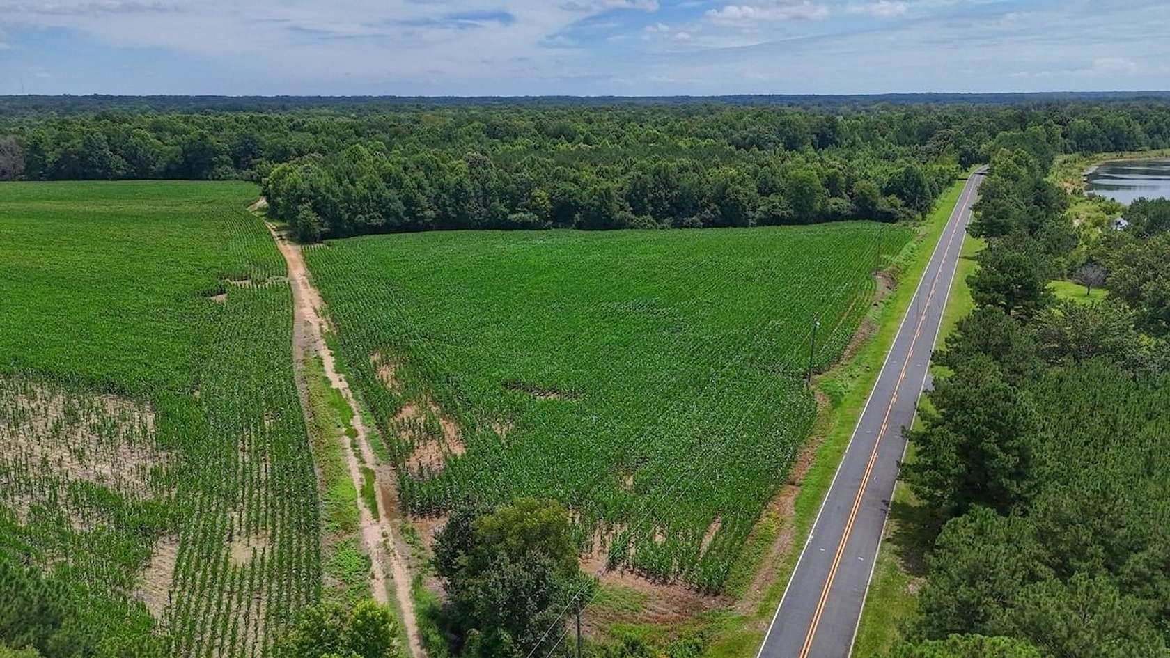 15 Acres of Land for Sale in Erwin, North Carolina