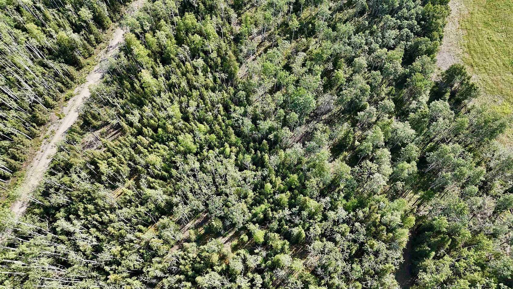 1.89 Acres of Residential Land for Sale in Delta Junction, Alaska