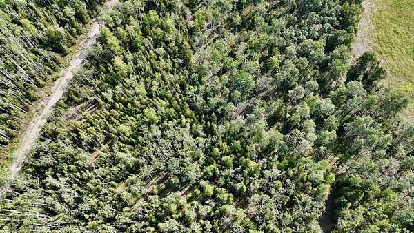 1.89 Acres of Residential Land for Sale in Delta Junction, Alaska