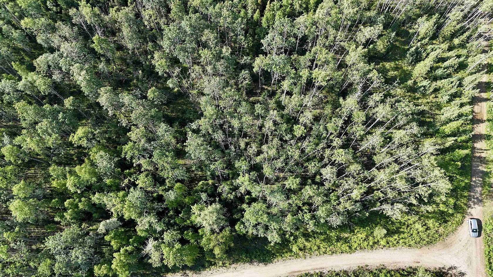2 Acres of Residential Land for Sale in Delta Junction, Alaska