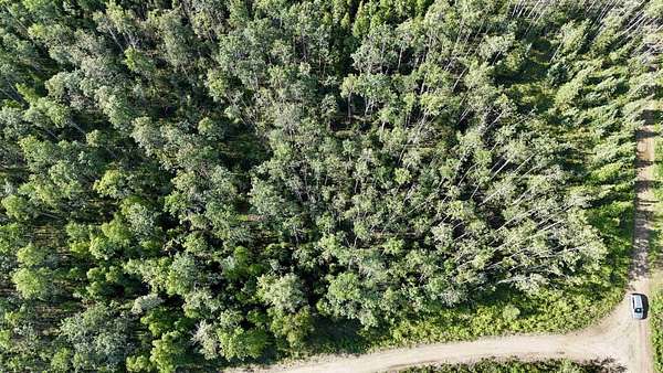 2 Acres of Residential Land for Sale in Delta Junction, Alaska