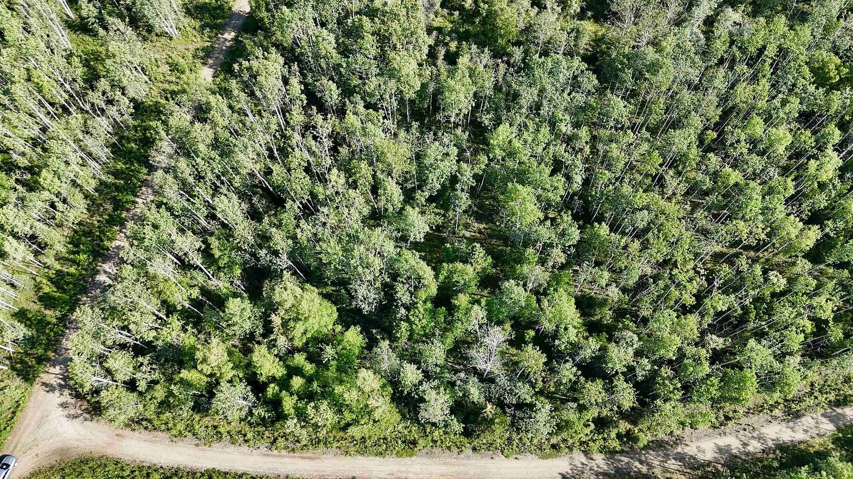 4.66 Acres of Residential Land for Sale in Delta Junction, Alaska