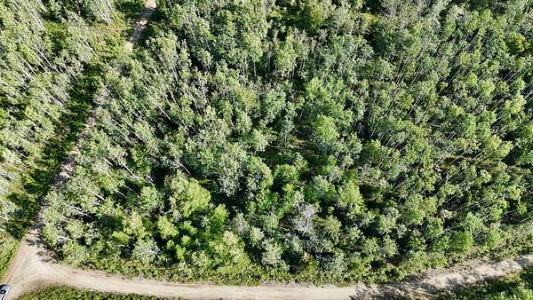 4.66 Acres of Residential Land for Sale in Delta Junction, Alaska