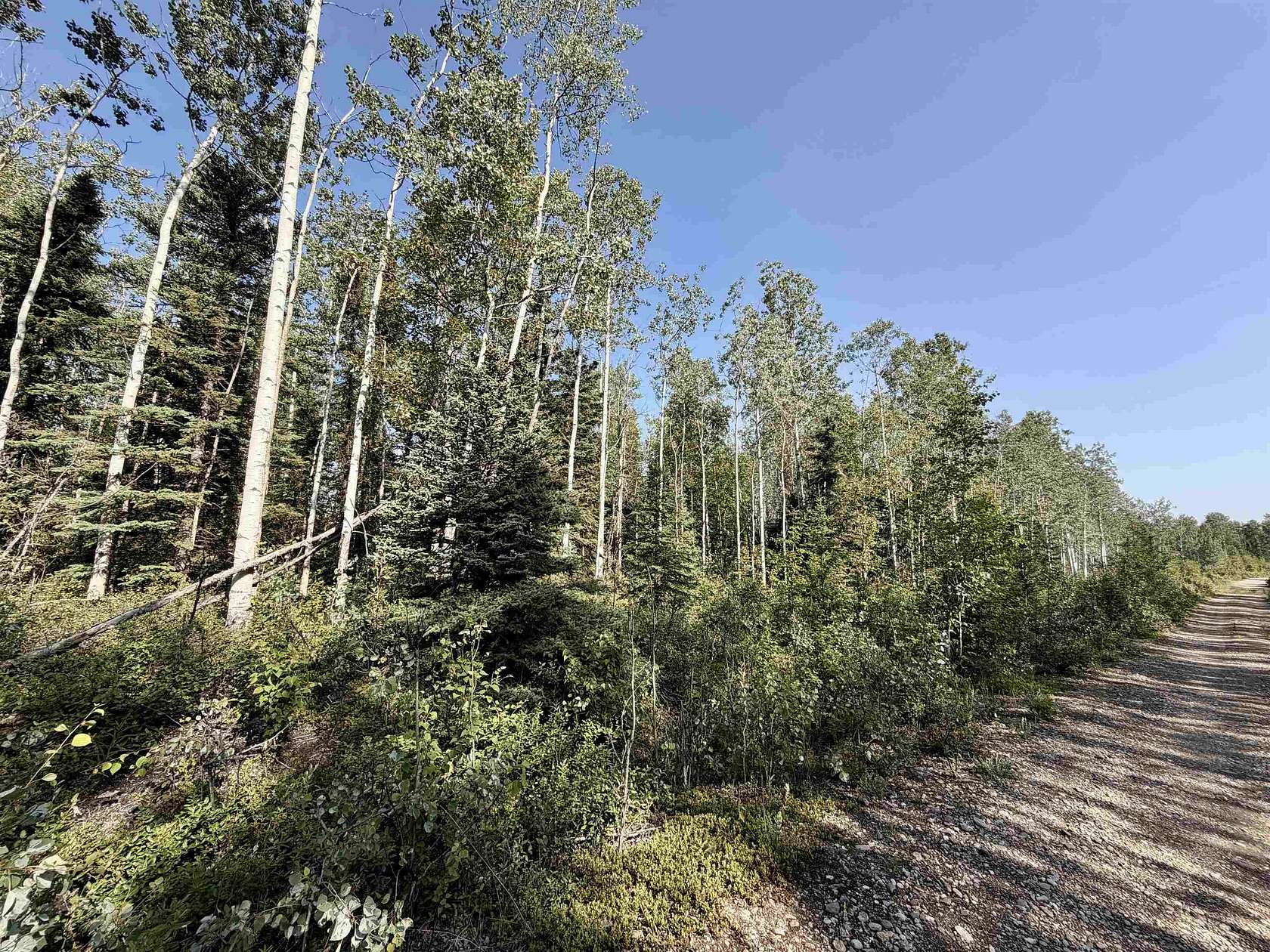 1.4 Acres of Residential Land for Sale in Delta Junction, Alaska