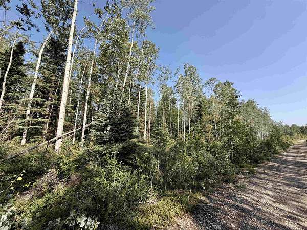 1.4 Acres of Residential Land for Sale in Delta Junction, Alaska