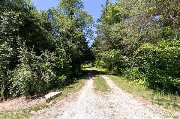 10 Acres of Recreational & Residential Land for Sale in Deerfield Township, Michigan