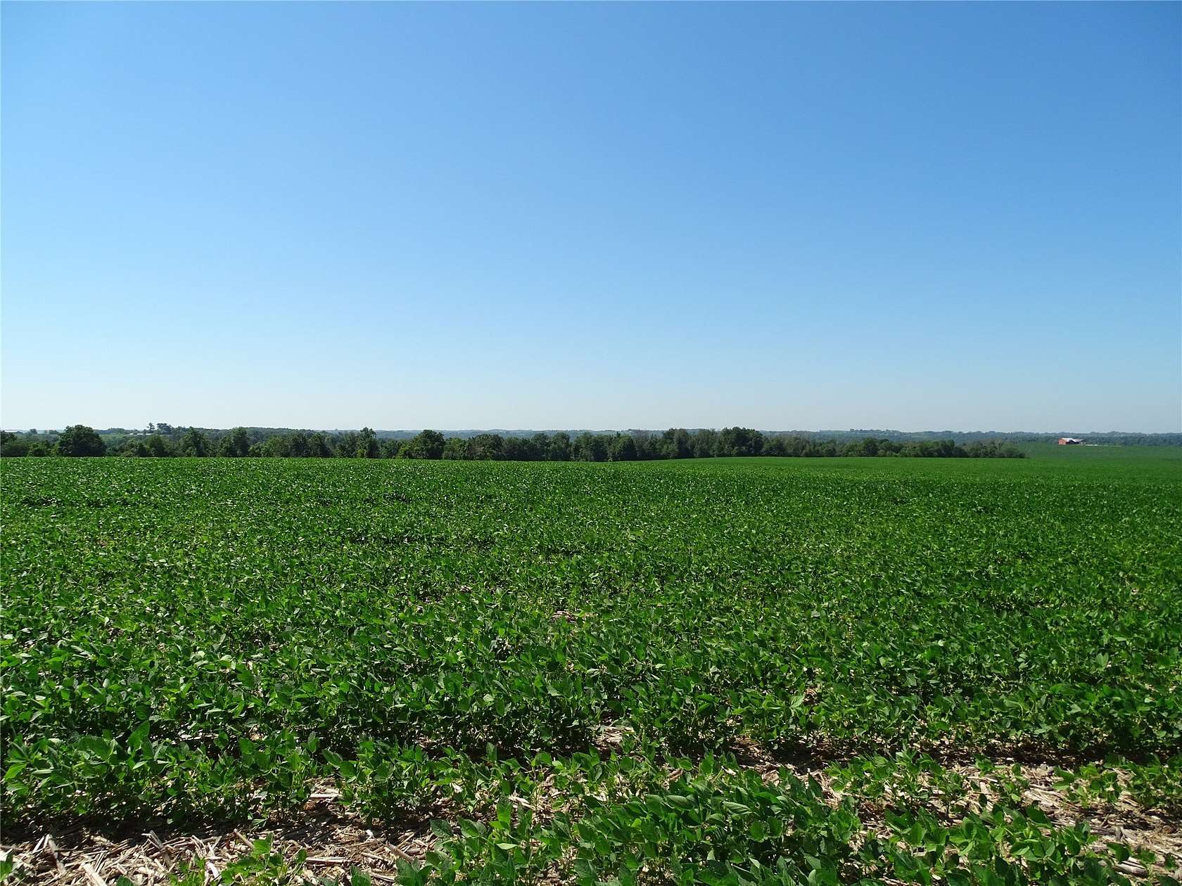 122 Acres of Land for Sale in Plum City, Wisconsin