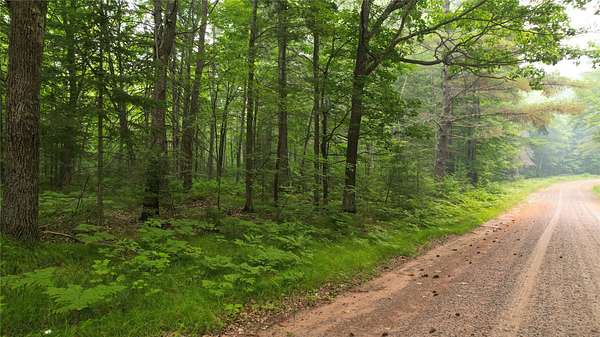 20 Acres of Recreational Land for Sale in Drummond, Wisconsin