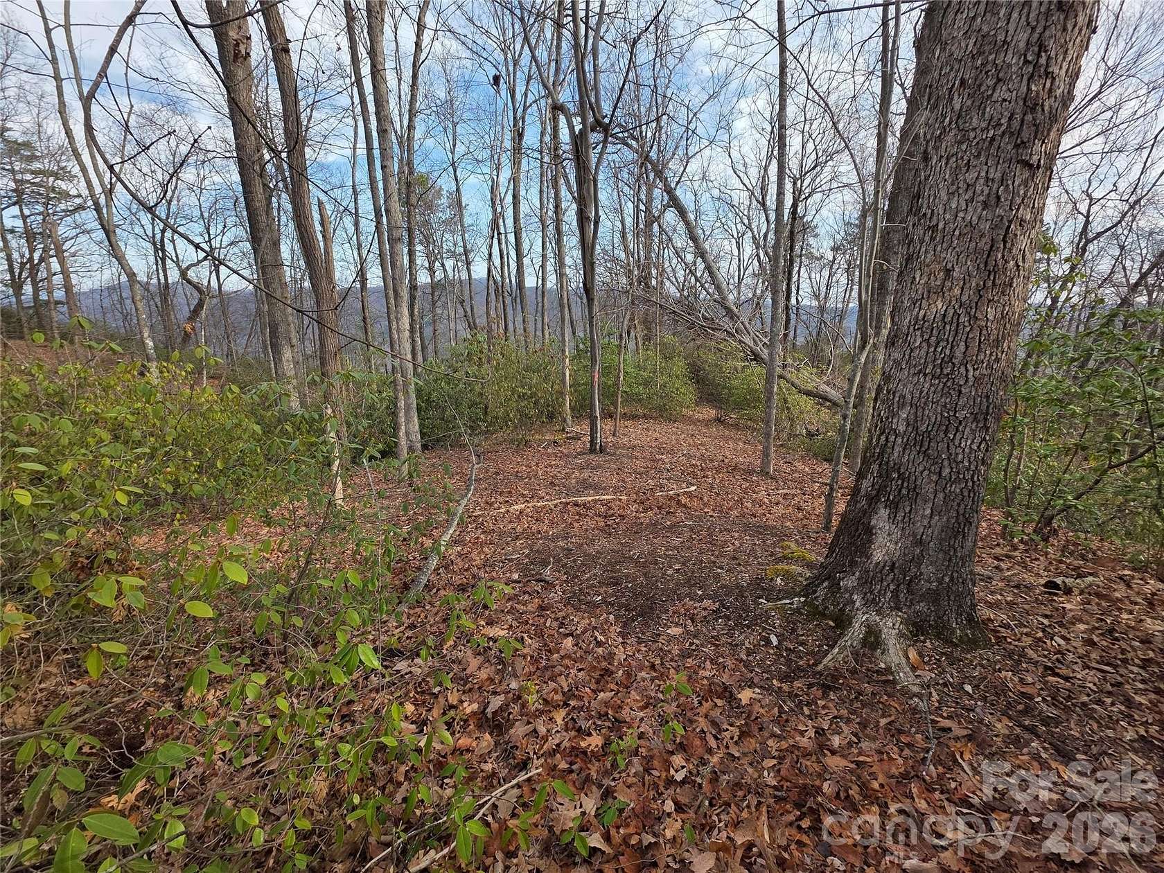 6 Acres of Residential Land for Sale in Lake Lure, North Carolina