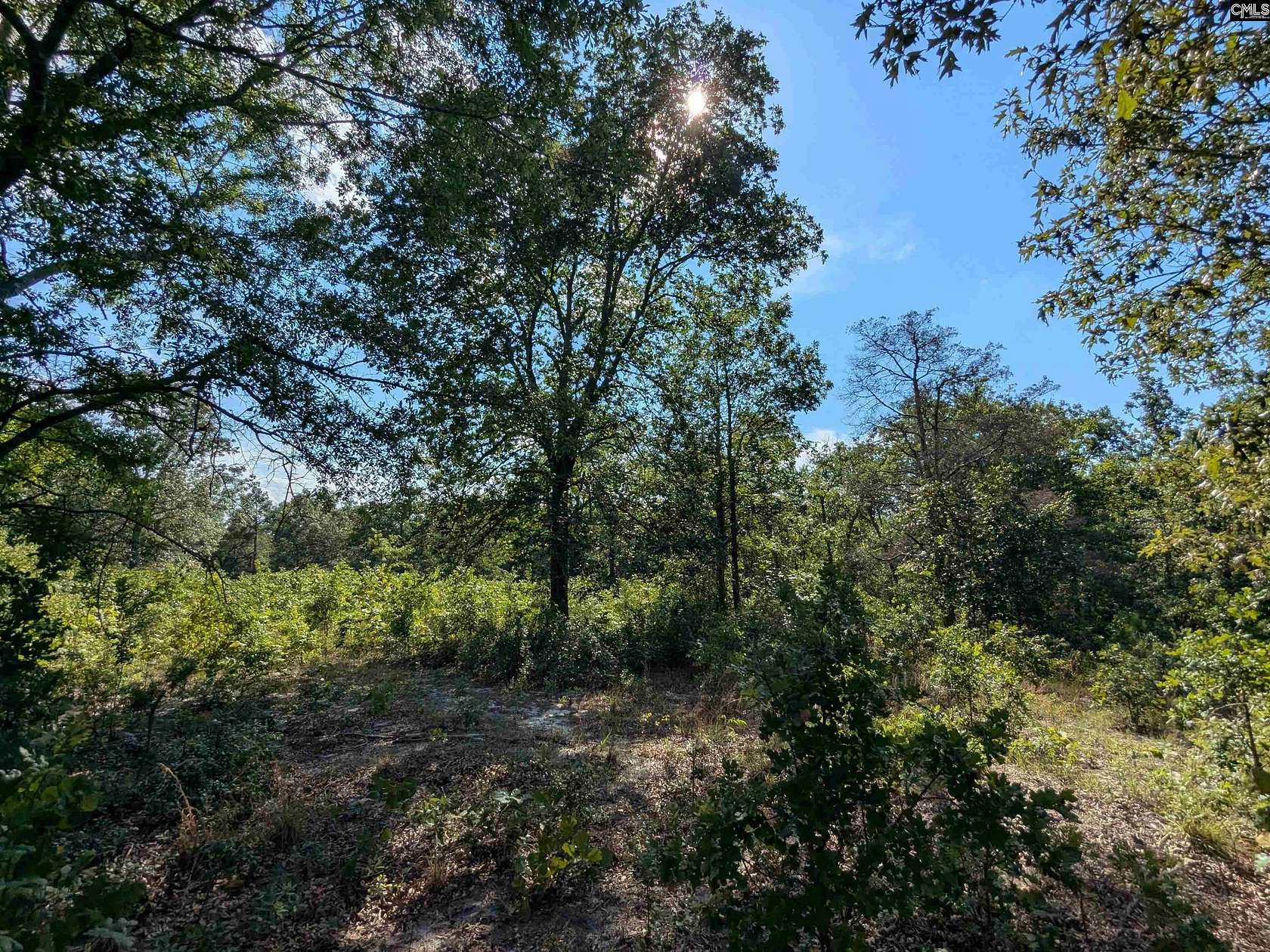 32 Acres of Agricultural & Residential Land for Sale in Camden, South Carolina