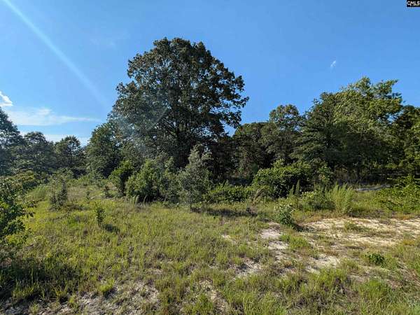 32 Acres of Agricultural & Residential Land for Sale in Camden, South Carolina