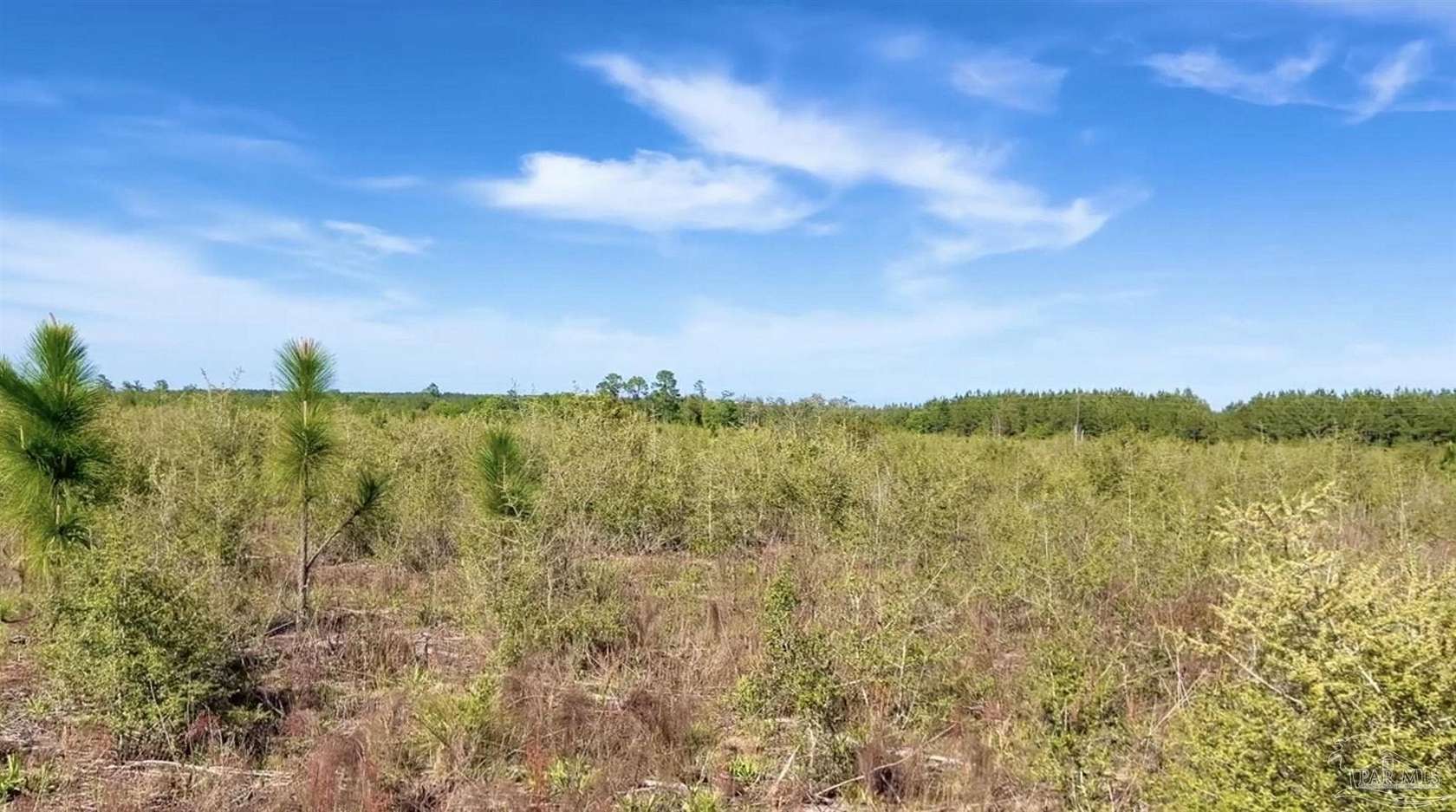 8 Acres of Residential Land for Sale in Jay, Florida
