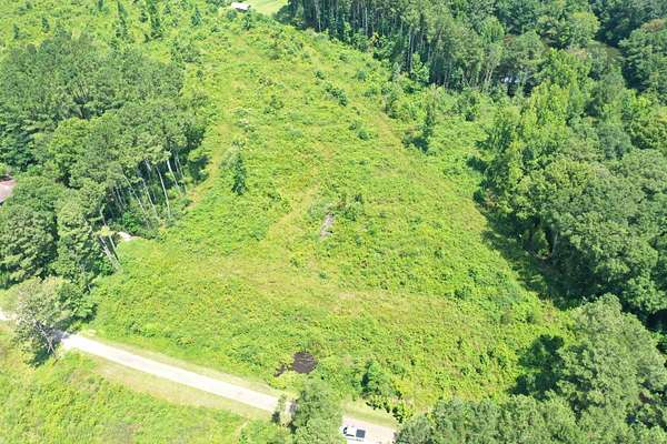 60.5 Acres of Recreational & Residential Land for Sale in Louin, Mississippi