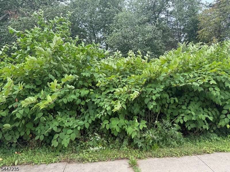 0.71 Acres of Residential Land for Sale in Piscataway Township, New Jersey