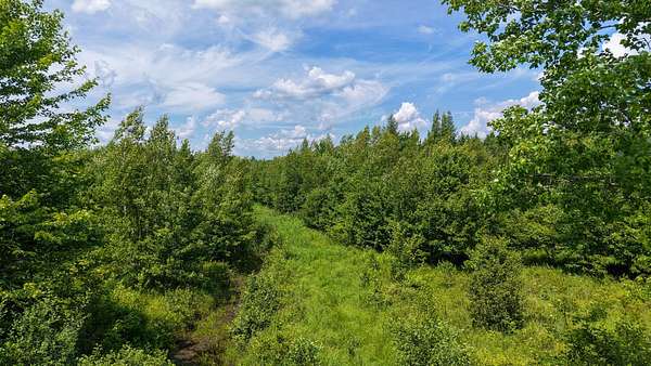 58 Acres of Recreational Land for Sale in Detroit, Maine
