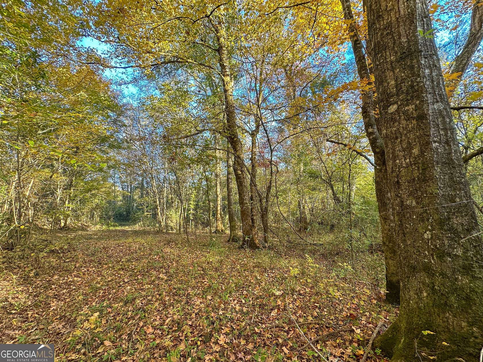 49.3 Acres of Recreational & Residential Land for Sale in Waverly Hall, Georgia