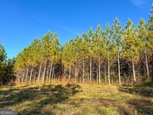 49.3 Acres of Recreational & Residential Land for Sale in Waverly Hall, Georgia
