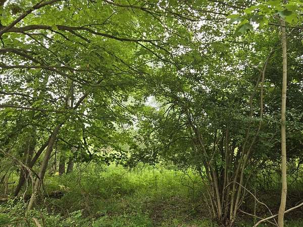 2 Acres of Land for Sale in Big Rapids, Michigan